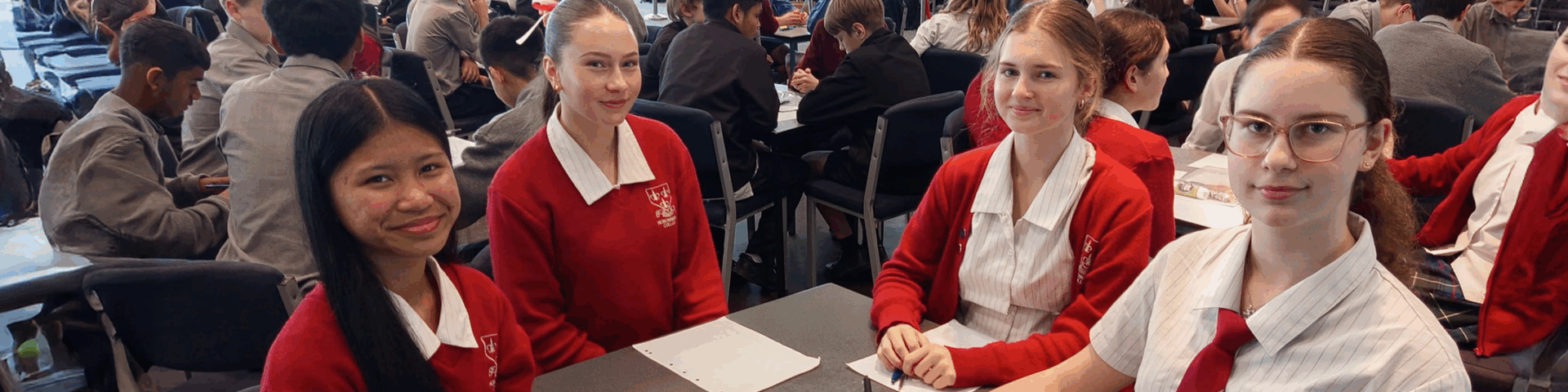 Mathex Girls Team banner